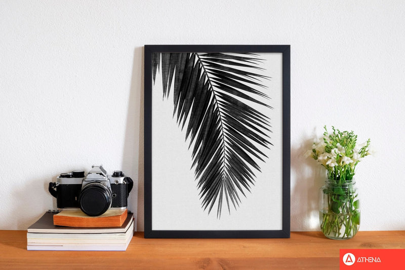 Palm leaf black &
