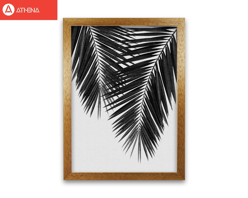 Palm leaf black &