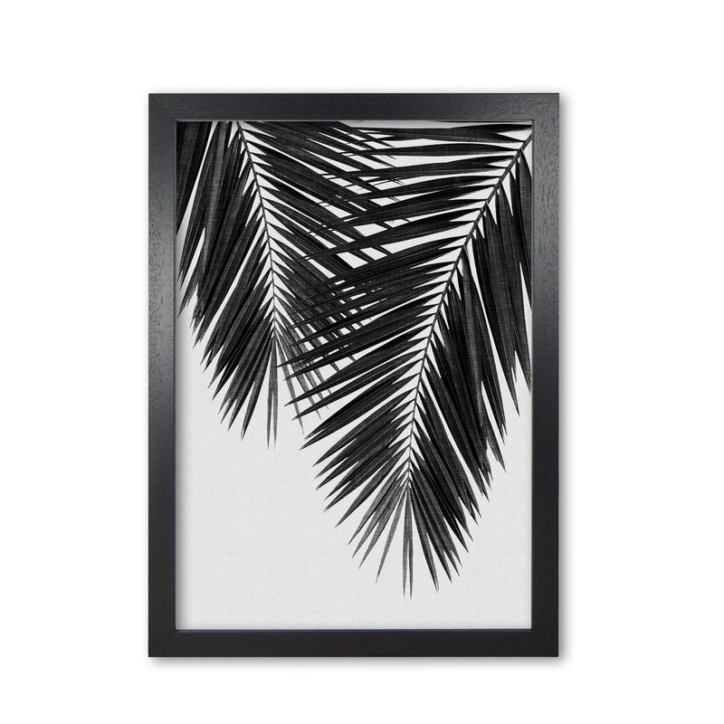 Palm leaf black &