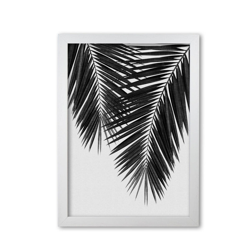 Palm leaf black &