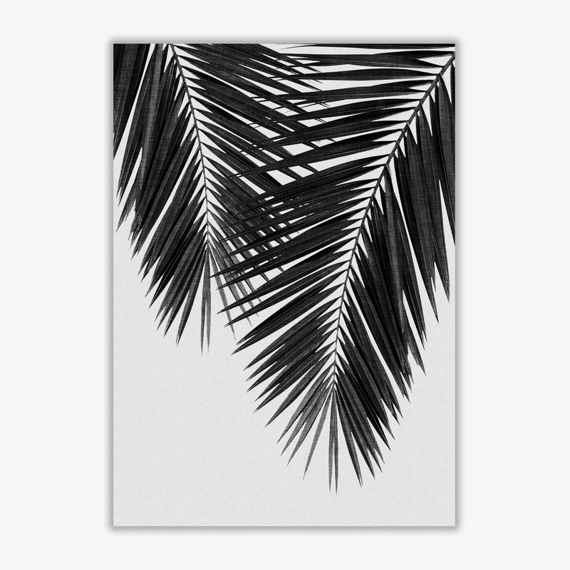 Palm leaf black &