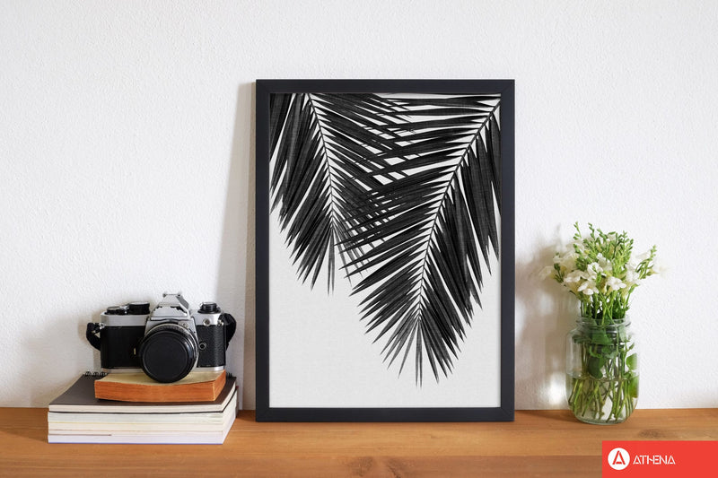 Palm leaf black &