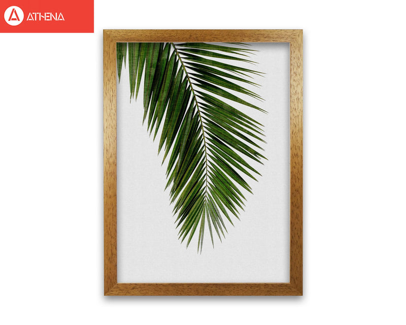 Palm leaf i fine art print by orara studio, framed botanical &