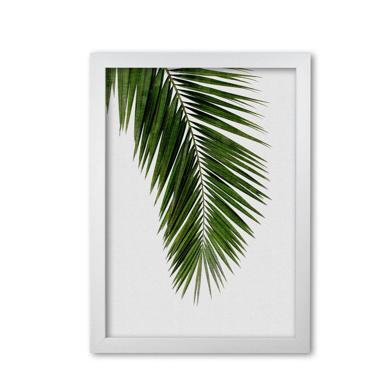 Palm leaf i fine art print by orara studio, framed botanical &