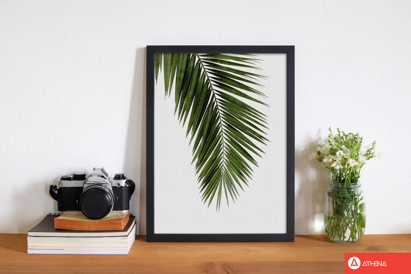 Palm leaf i fine art print by orara studio, framed botanical &