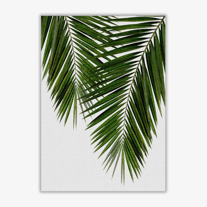 Palm leaf ii fine art print by orara studio, framed botanical &#038; nature art print