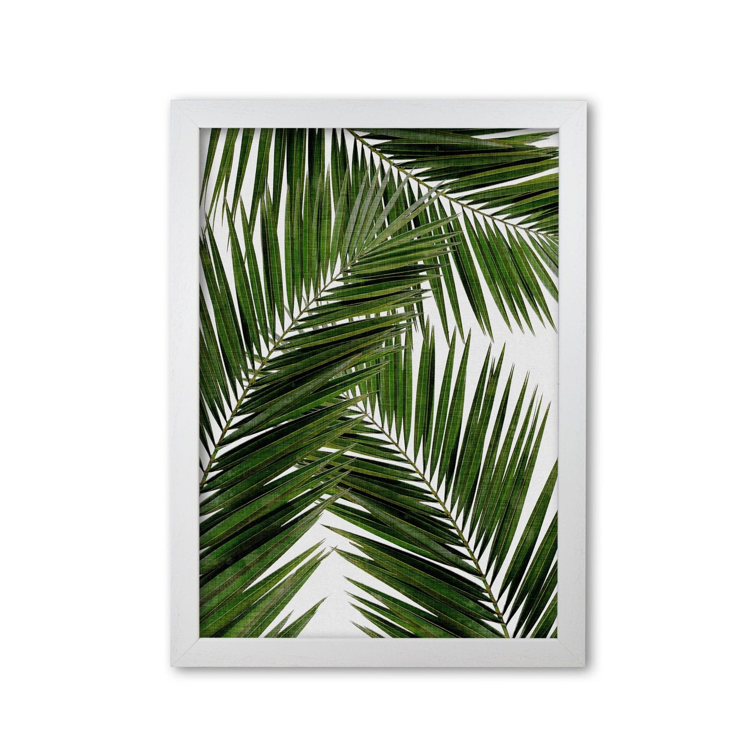 Palm leaf iii fine art print by orara studio, framed botanical &#038; nature art print