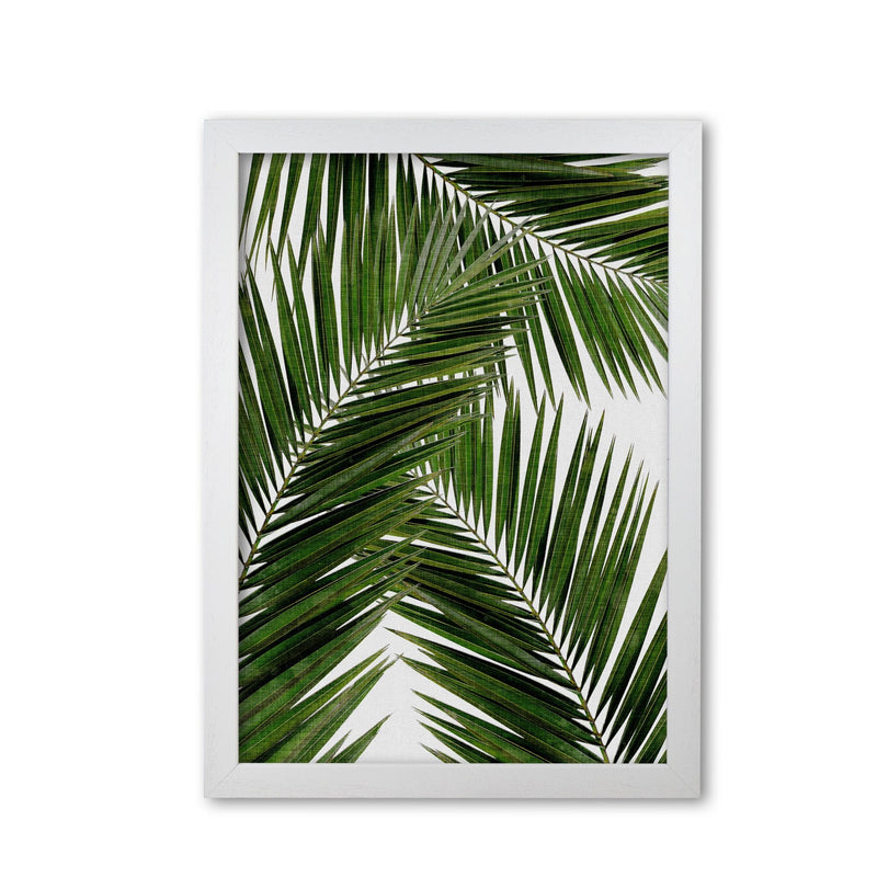 Palm leaf iii fine art print by orara studio, framed botanical &