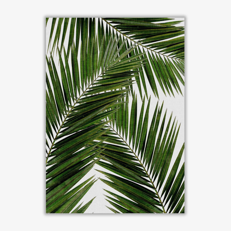 Palm leaf iii fine art print by orara studio, framed botanical &