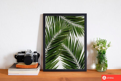 Palm leaf iii fine art print by orara studio, framed botanical &#038; nature art print