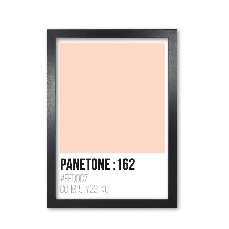 Panetone colours 162 modern fine art print