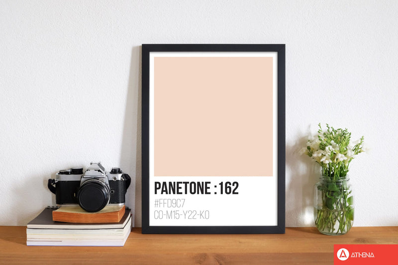 Panetone colours 162 modern fine art print