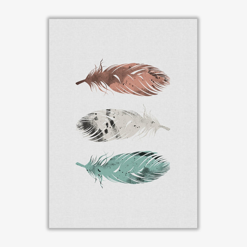 Pastel feathers fine art print by orara studio, framed botanical &