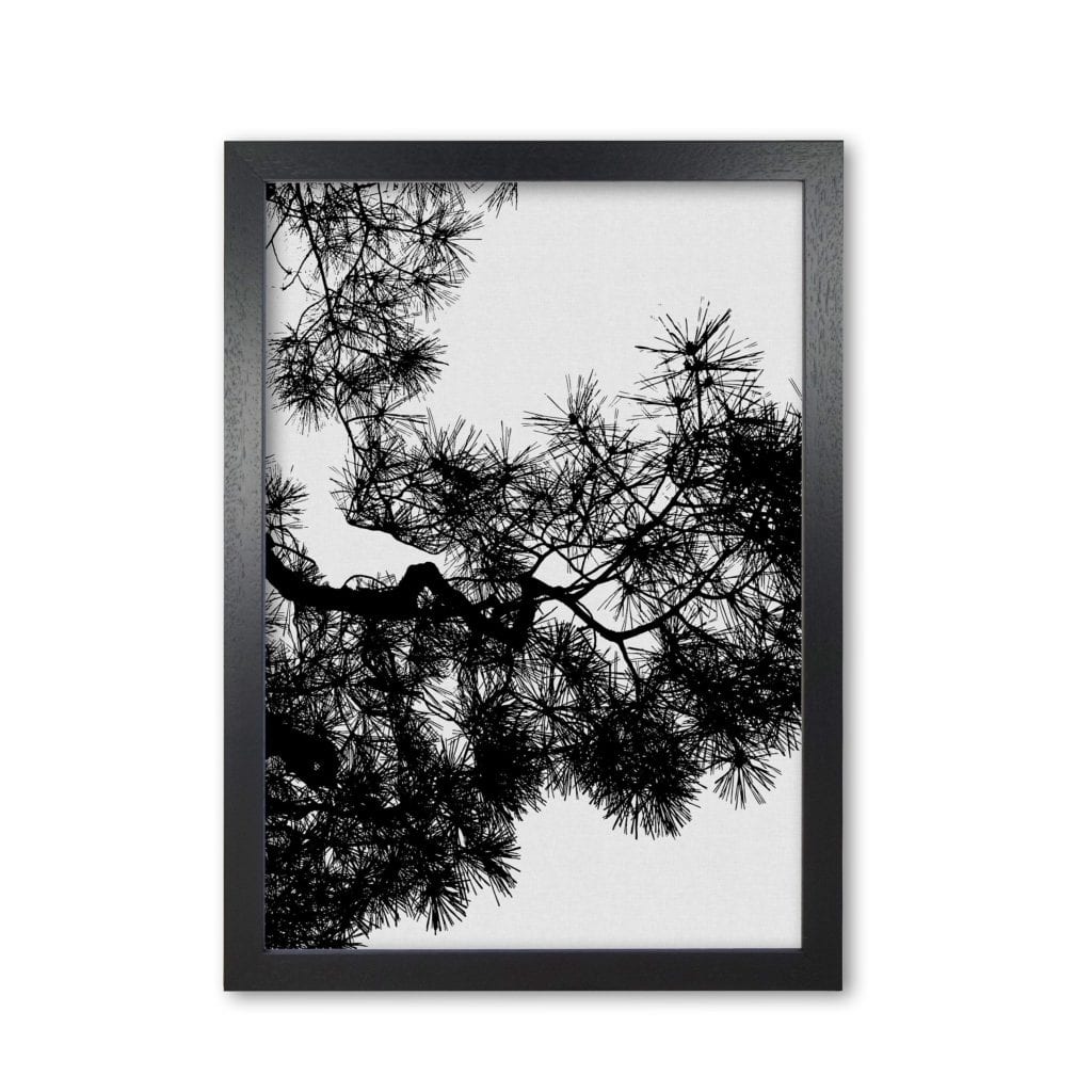 Pine tree black &#038; white fine art print by orara studio