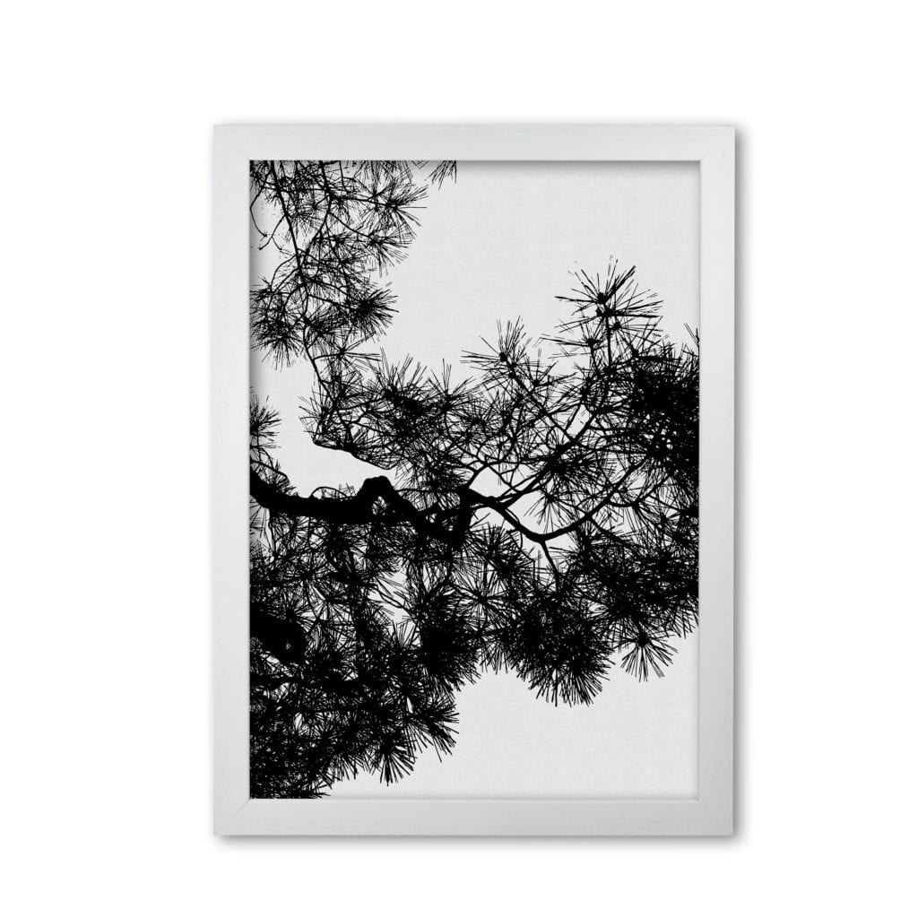 Pine tree black &#038; white fine art print by orara studio