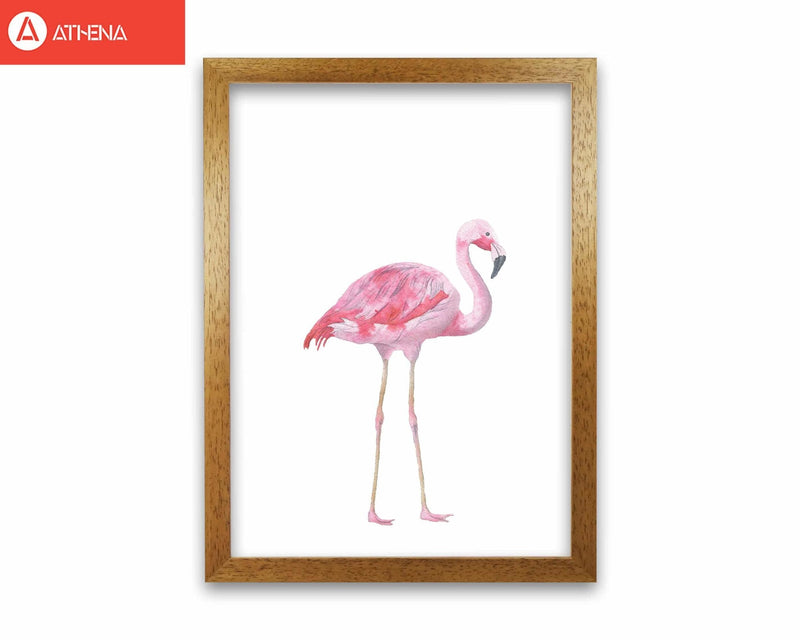 Pink flamingo modern fine art print