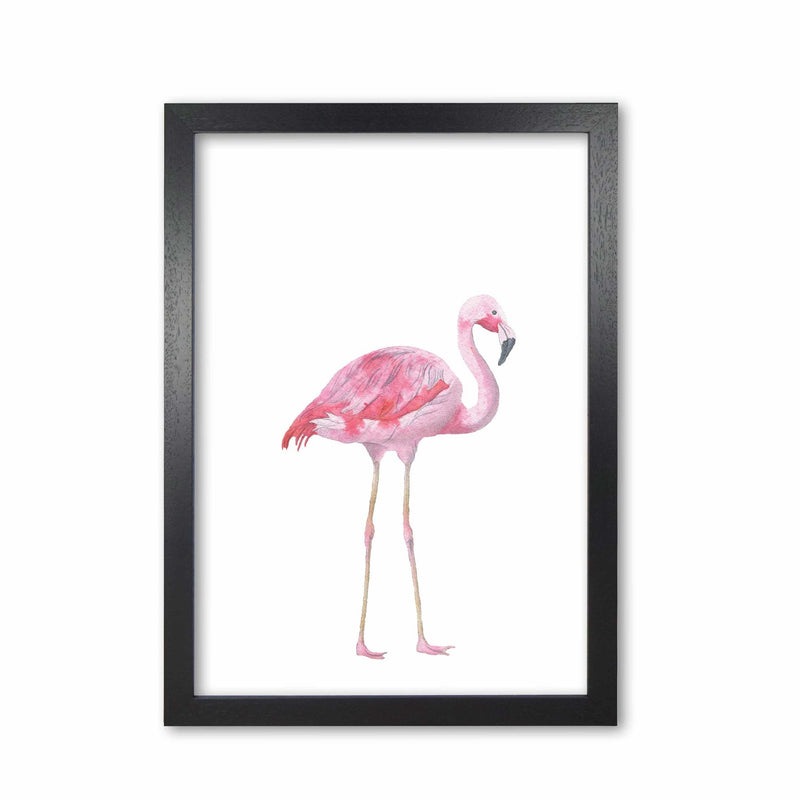 Pink flamingo modern fine art print