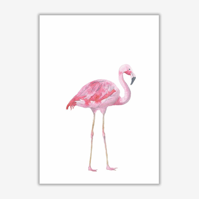 Pink flamingo modern fine art print