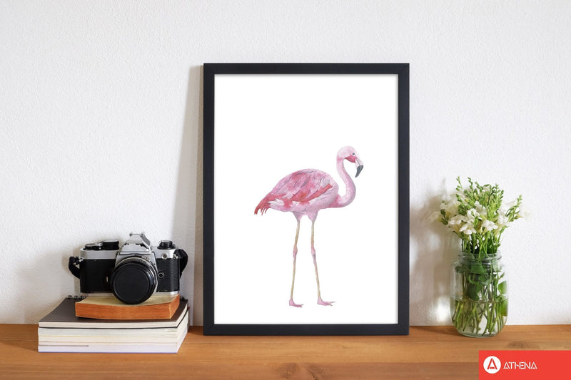 Pink flamingo modern fine art print