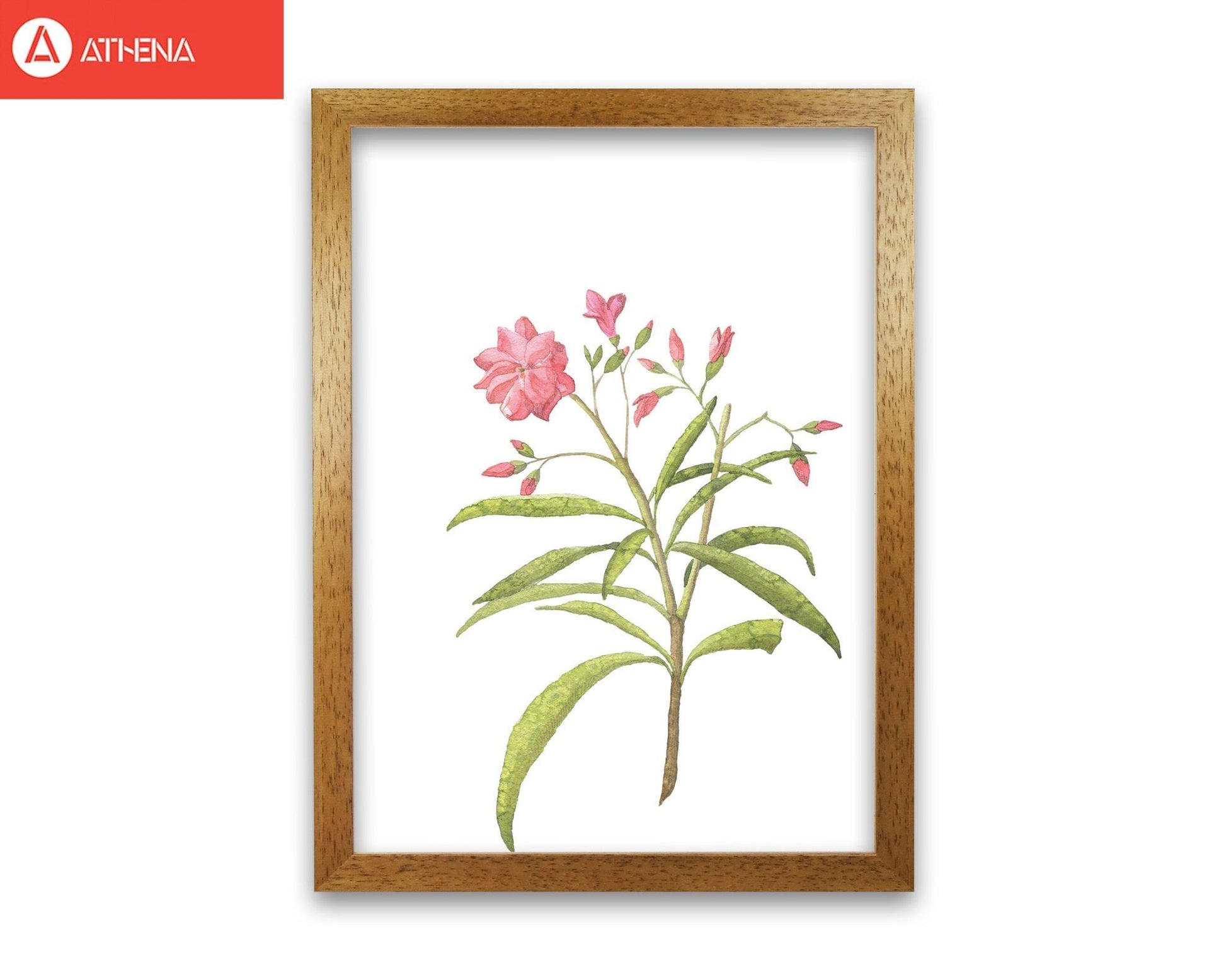 Pink flower modern fine art print, framed botanical &#038; nature art print