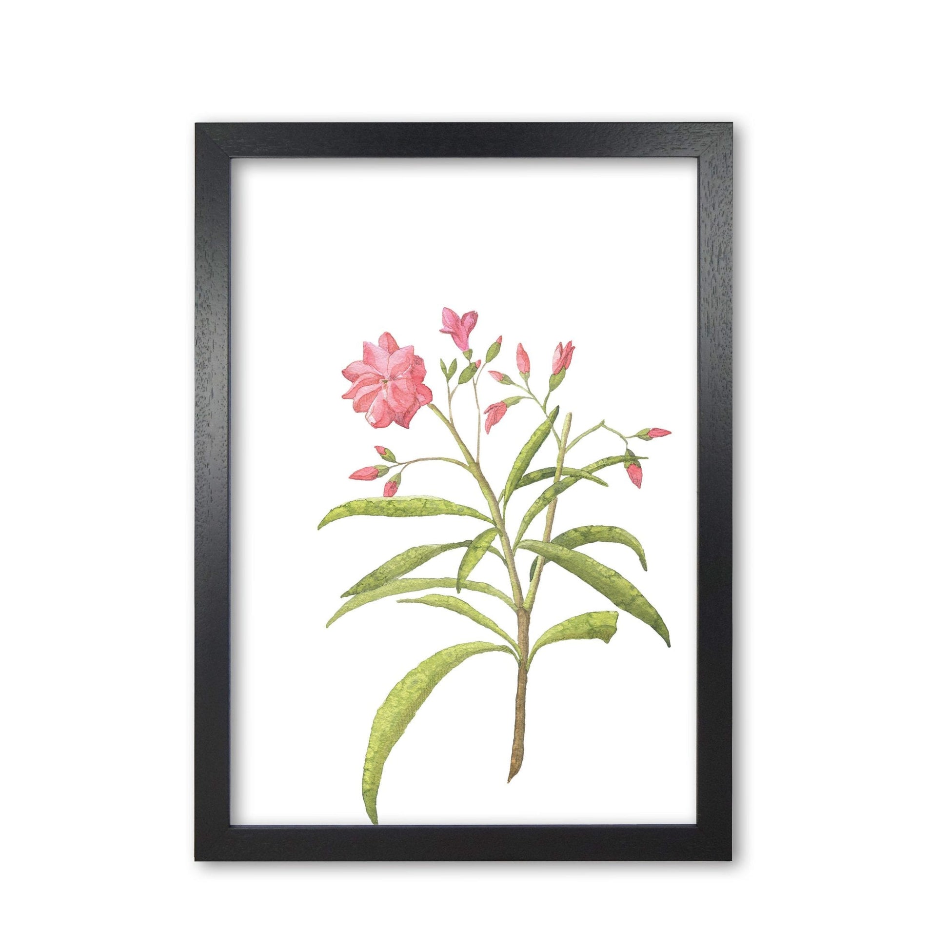 Pink flower modern fine art print, framed botanical &#038; nature art print