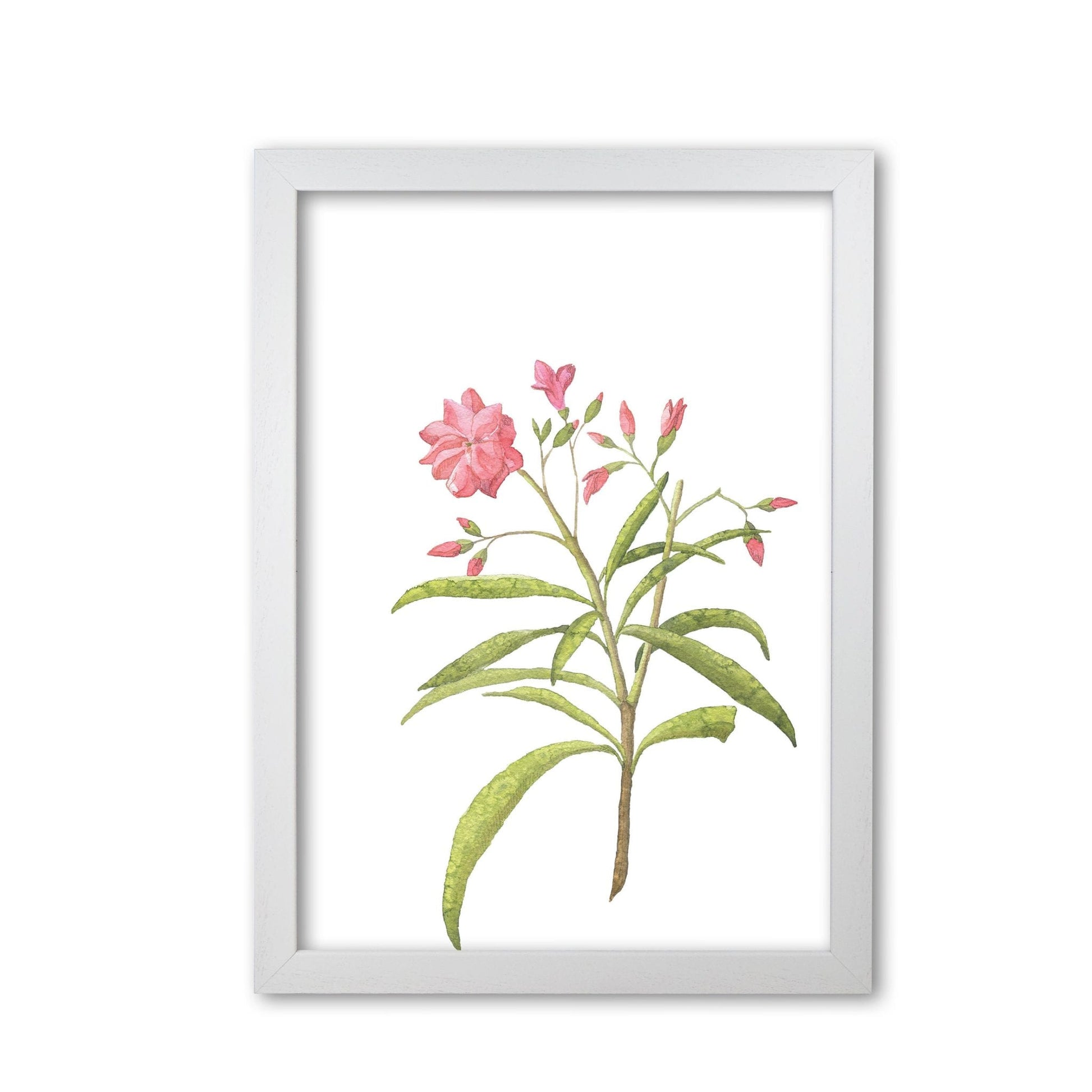 Pink flower modern fine art print, framed botanical &#038; nature art print