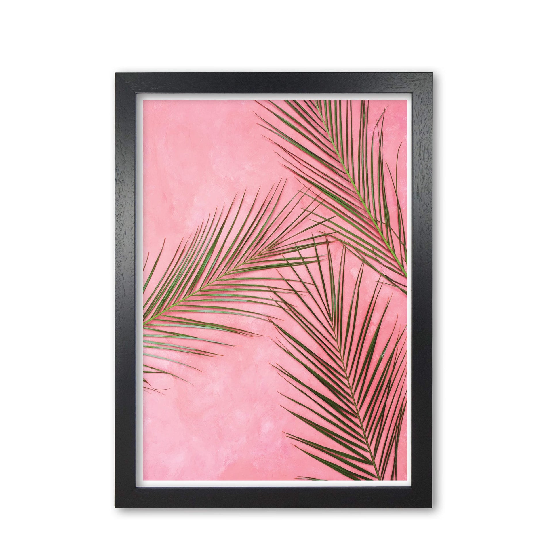 Pink palm leaves modern fine art print, framed botanical &#038; nature art print