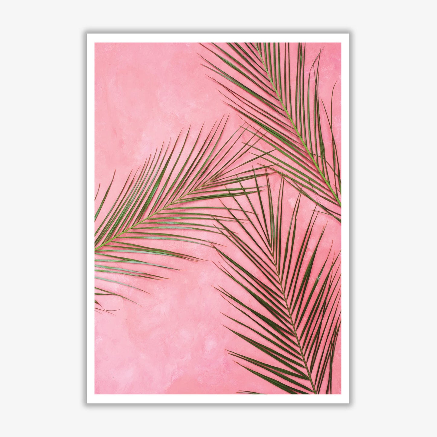 Pink palm leaves modern fine art print, framed botanical &#038; nature art print