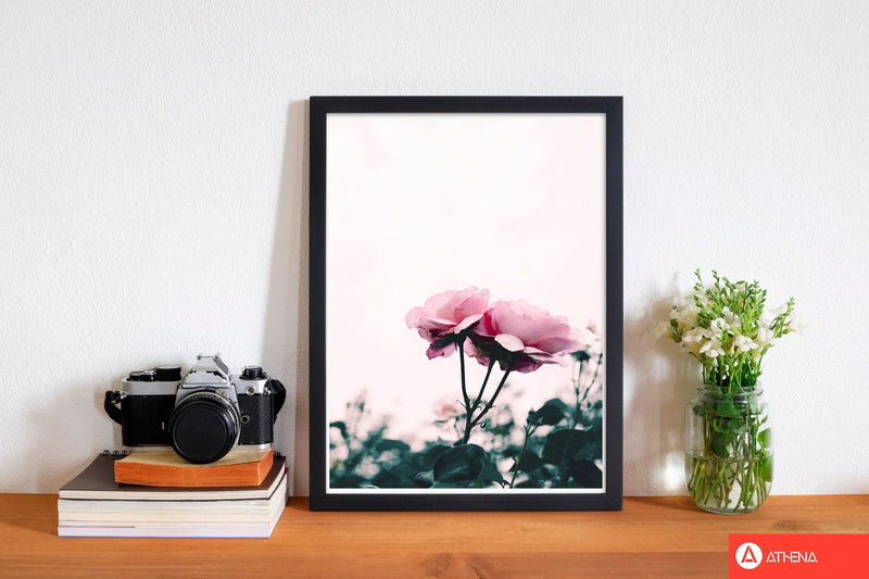 Pink rose modern fine art print, framed botanical &