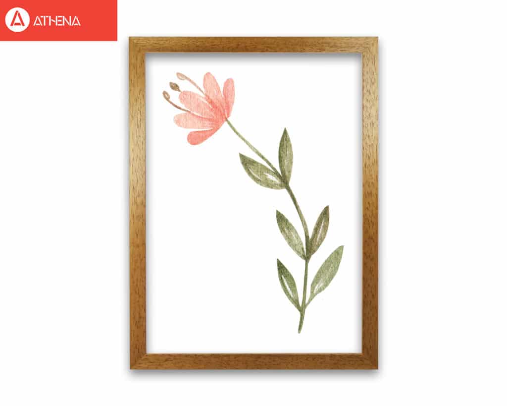 Pink watercolour flower 2 modern fine art print
