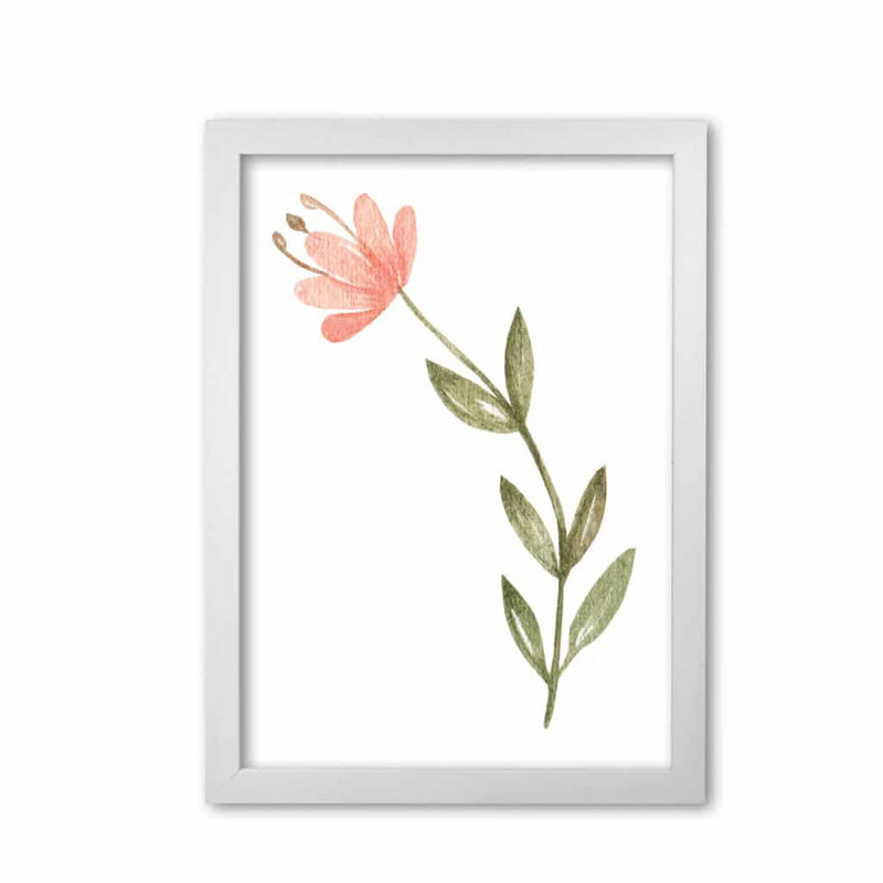 Pink watercolour flower 2 modern fine art print