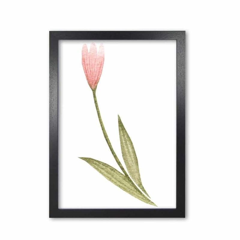 Pink watercolour flower 3 modern fine art print