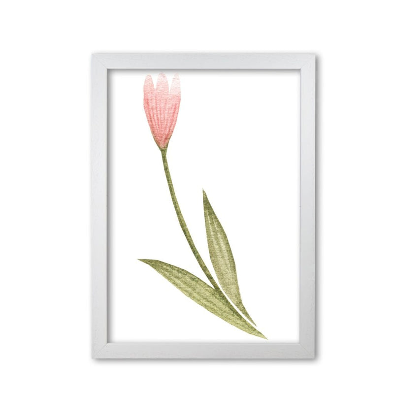 Pink watercolour flower 3 modern fine art print