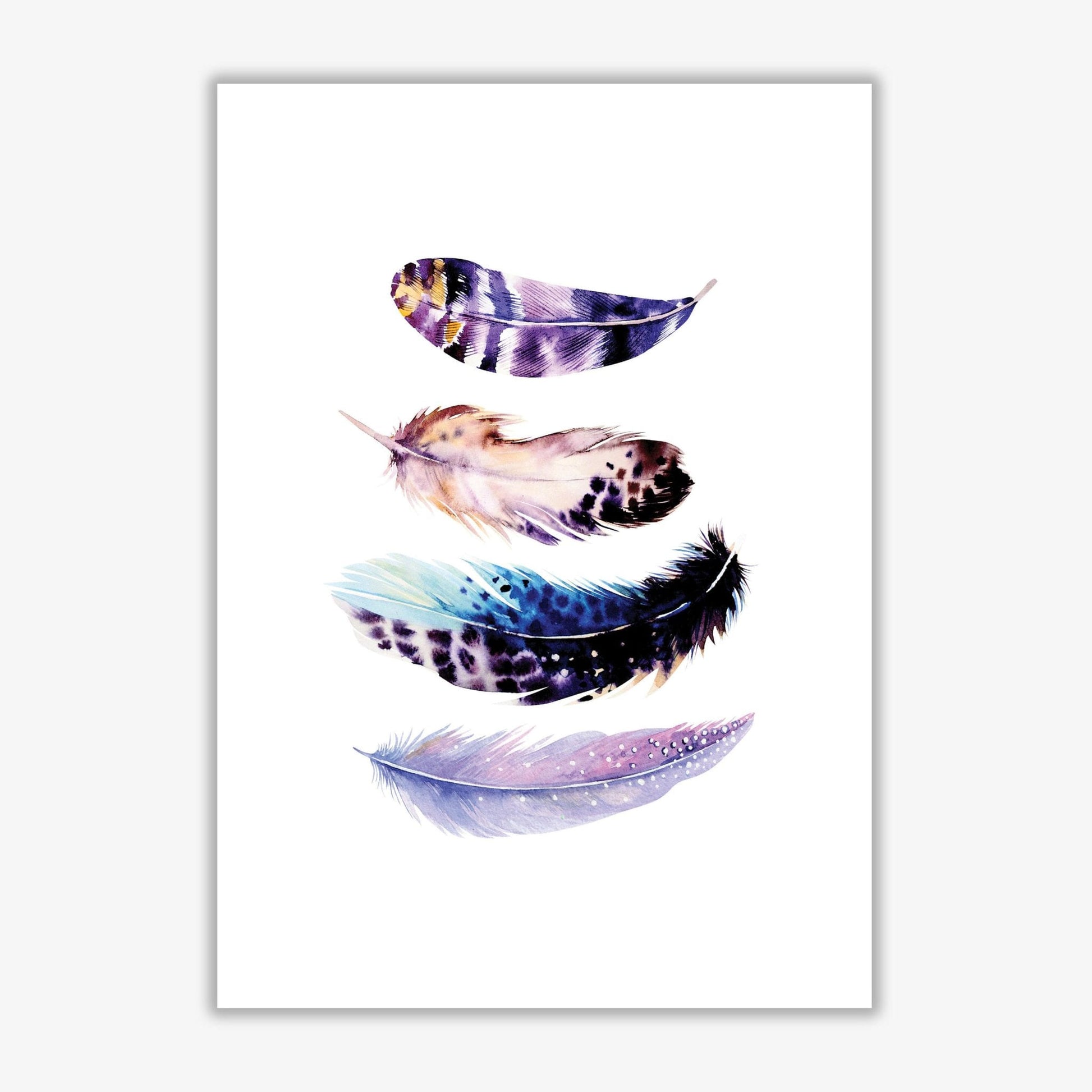Purple bird feathers abstract modern fine art print