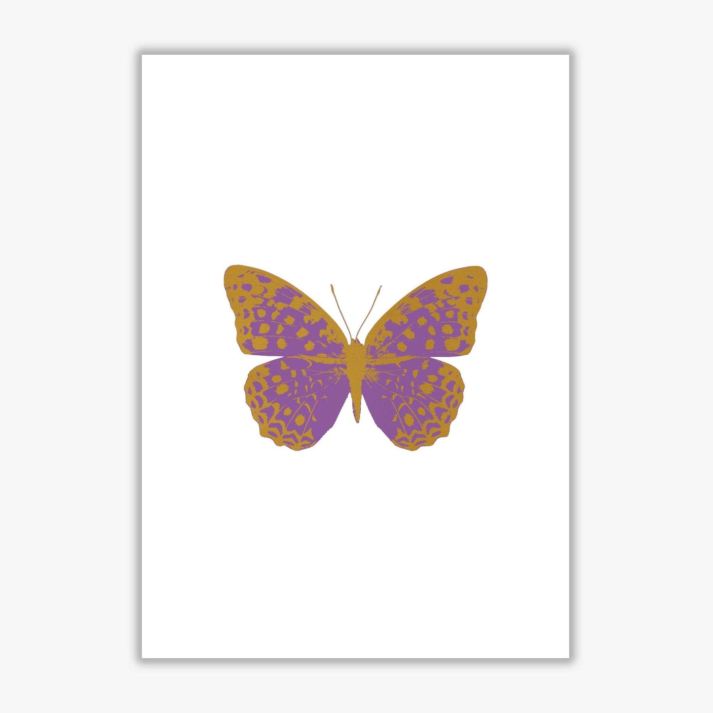 Purple butterfly fine art print by orara studio