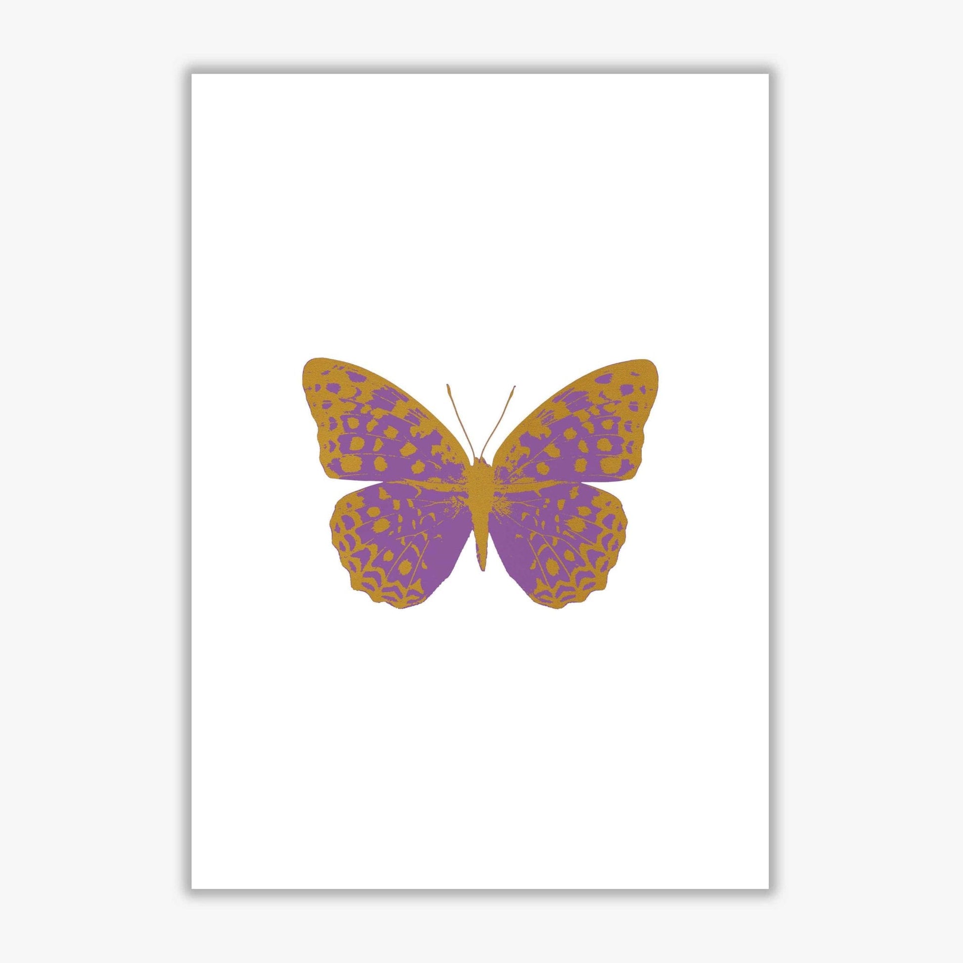 Purple butterfly fine art print by orara studio