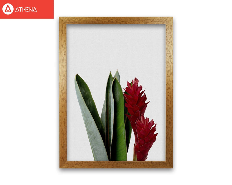 Red flower fine art print by orara studio, framed botanical &