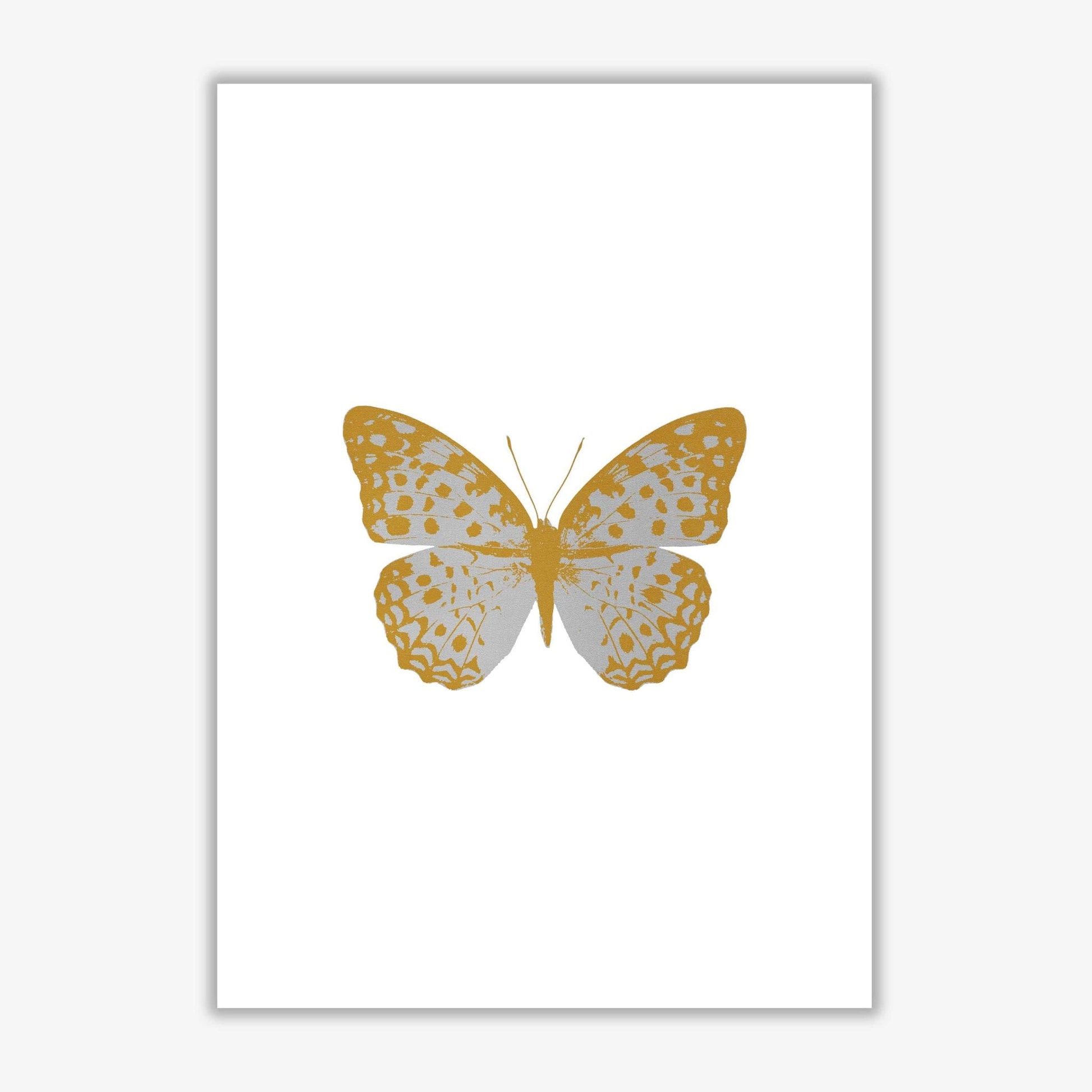 Silver butterfly fine art print by orara studio