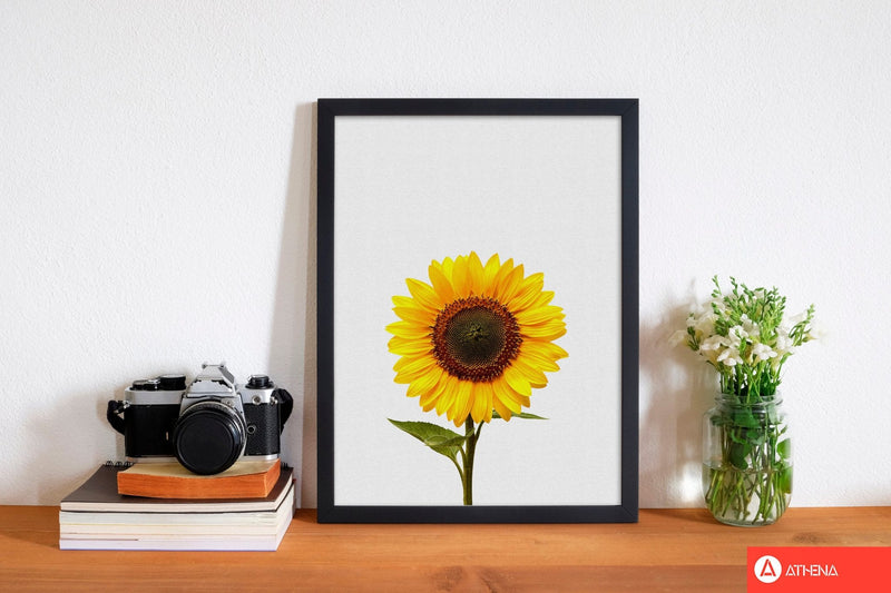 Sunflower still life fine art print by orara studio, framed botanical &
