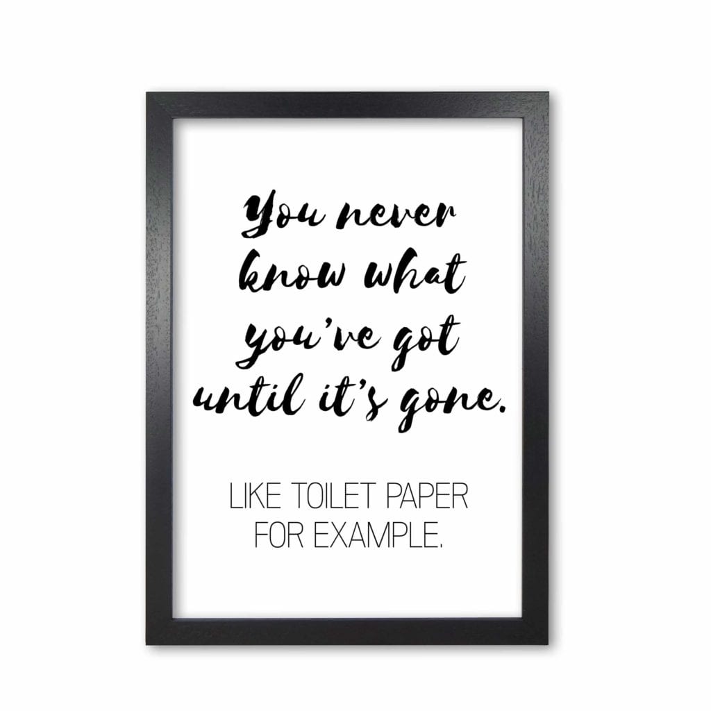 Toilet paper, bathroom modern fine art print, framed bathroom wall art