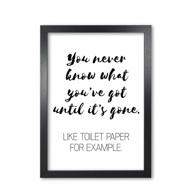 Toilet paper, bathroom modern fine art print, framed bathroom wall art
