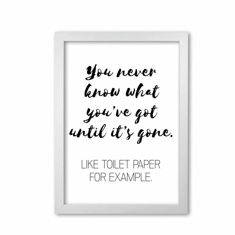 Toilet paper, bathroom modern fine art print, framed bathroom wall art