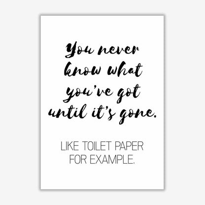 Toilet paper, bathroom modern fine art print, framed bathroom wall art