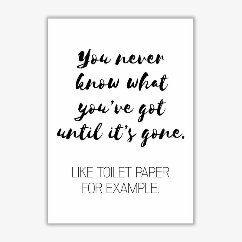 Toilet paper, bathroom modern fine art print, framed bathroom wall art