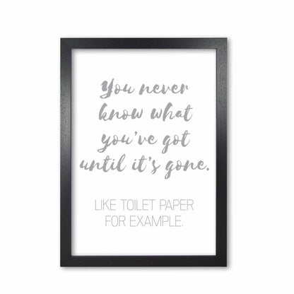 Toilet roll grey, bathroom modern fine art print, framed bathroom wall art
