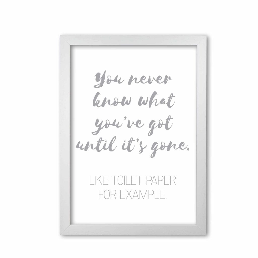 Toilet roll grey, bathroom modern fine art print, framed bathroom wall art