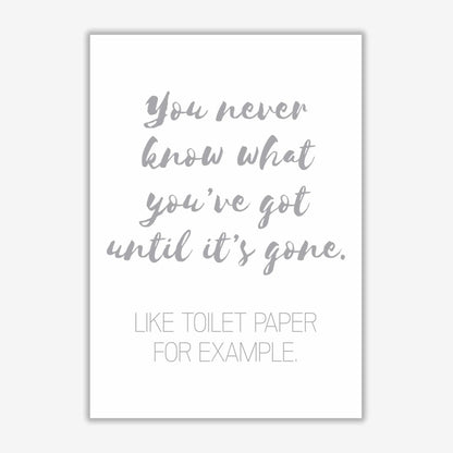 Toilet roll grey, bathroom modern fine art print, framed bathroom wall art