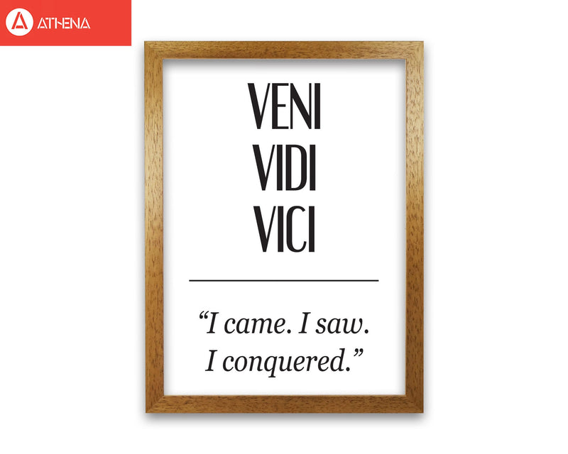 Veni vidi vici modern fine art print