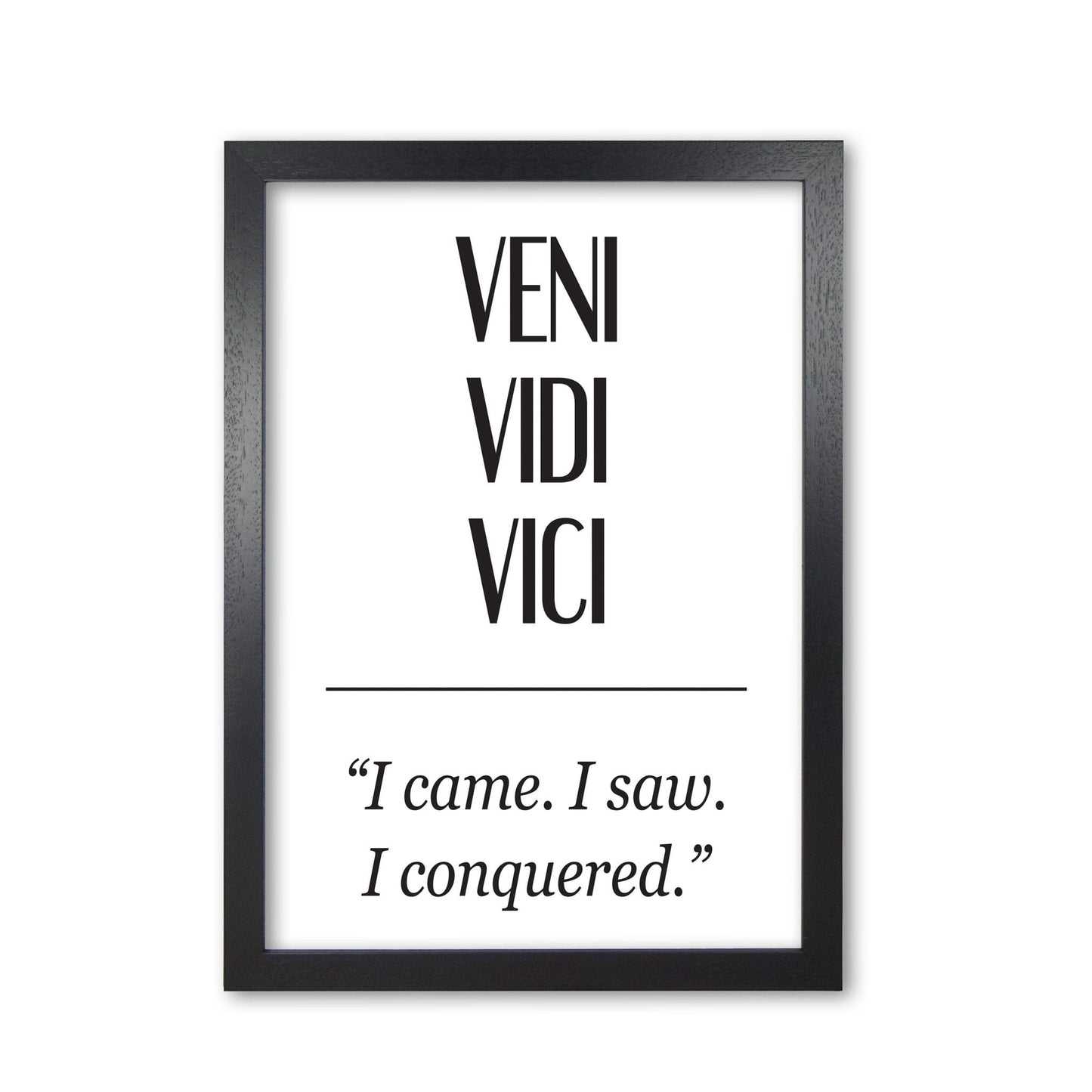 Veni vidi vici modern fine art print