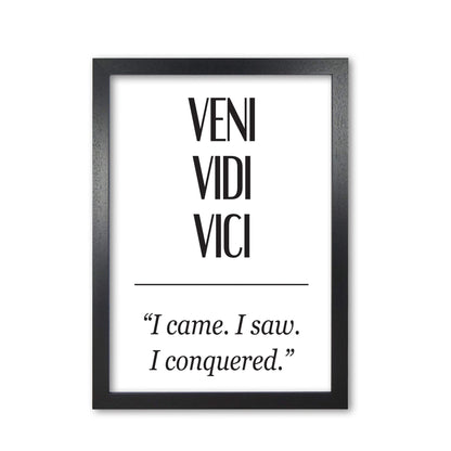 Veni vidi vici modern fine art print